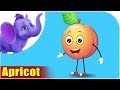 Apricot  fruit rhyme in ultra 4k