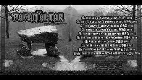 02. Filt & Sulekose - Posion Hippies 160 bpm