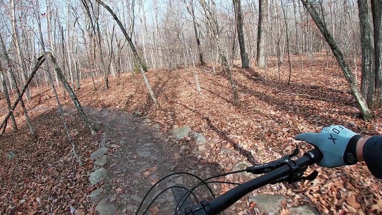 Elm Ridge Gold Mine trail section