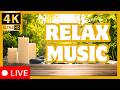 🔴 LIVE 24/7 Relaxing Meditation Music (4K) 🌙 Work & Study Background Music