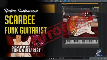 [TUTORIAL] Scarbee Funk Guitarist│Custom Chord