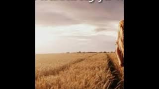 F U till I F U lirik karizma ft.Cass