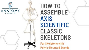 Axis Scientific Classic Skeleton Assembly Video (For all pelvic-mounted skeletons)