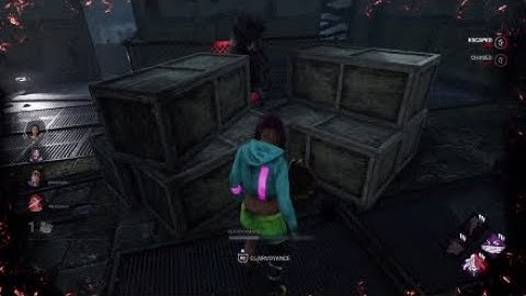 Clairvoyance is a fun perk - Dead by Daylight