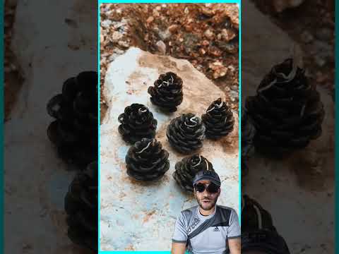 فكرة عبقرية لي شعل نار