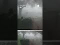 Tornado Knocks Down Trees In Canada