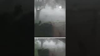 Tornado Knocks Down Trees In Canada