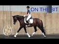 Dressage Training - Getting your horse on the bit