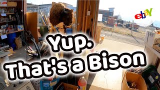 RANDOM GARAGE SALE STOP WINDS UP FEATURING A STUNNING CENTERPIECE