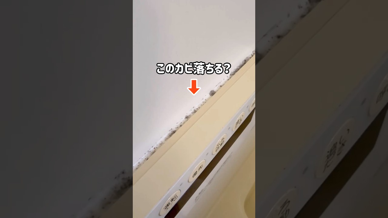 ゴムパッキンやコーキングのカビを落とす方法