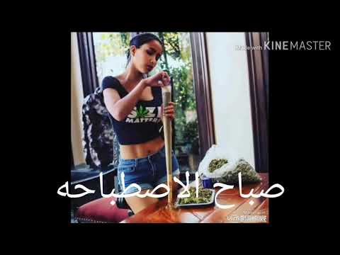 حاله واتس اشرب حشيش براحه