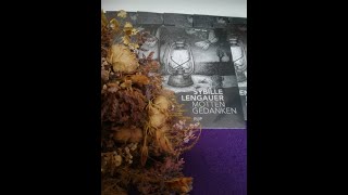 Die Alien-Entführung