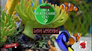 HAYANG NYAMDUNG KARAOKE ABAH DENIS