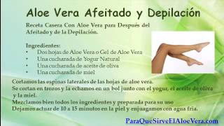 Después afeitado del ardientes piernas