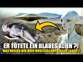 Neuer UFO-Whistleblower, der „einen blauen Alien getötet hat“! Was wissen wir darüber?