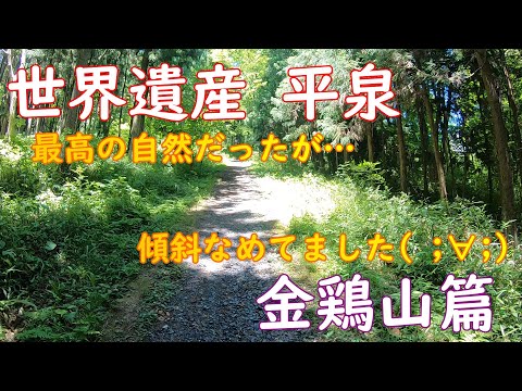 【世界遺産一人旅】平泉、金鶏山…軽い気持ちで行ったら、ガチ登山でした【岩手旅行Vlog、World Heritage in Hiraizumi】