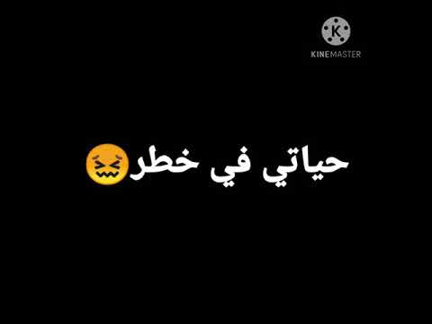 حالة وتس مهرجان طرزان علي كوكبي حمو طيخا دكر اخرك في دمغك كام قطر