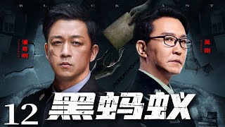 Black Ant 12丨Police Drama丨（Pan Yueming，Wu Gang）❤️Hot Drama Broadcast Alone