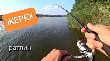 ЖЕРЕХ на ОКЕ.Что такое - не клюет и как с этим бороться?