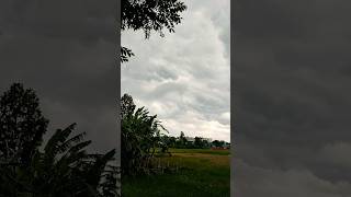 Purbai Ma Jhyal Rakhe (पुরबंमा झयाल राख) New Nepali Song 2026 | LXMl halko Aauda | New Song 2026