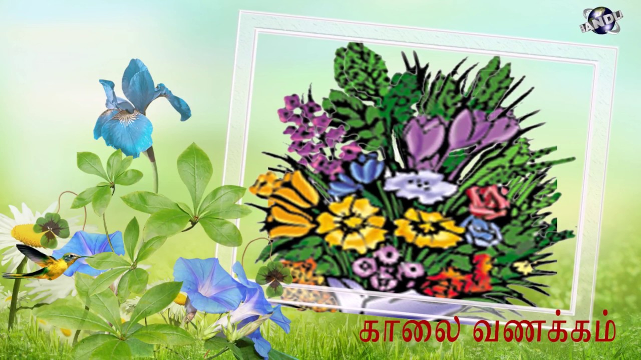 Good Morning Wishes Whatsaap Video Tamil Youtube