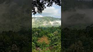 বিসমিল্লাহর দল কে সাথি করে নিন #viral #video #natural #environment #shorts