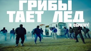 ПЕСНЯ НАОБОРОТ(РЕВЕНСИРОВАННАЯ) -ГРИБЫ-ТАЕТ ЛЁД(ГРИБЫ) ПЕСНЯ НАОБОРОТ(РЕВЕНСИРОВАННАЯ) -ГРИБЫ-ТАЕТ ЛЁД(ГРИБЫ)