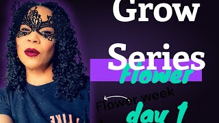 Grow Series week 4 & Flower week 1