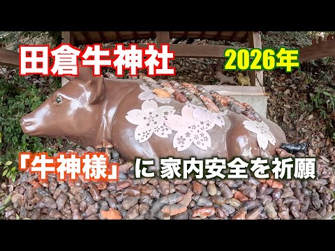 岡山県備前市の「田倉牛神社」で備前焼の牛像に家内安全などの願いを