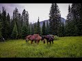 Packing Into The Absaroka-Beartooth Wilderness, Gallatin N.F. 2018 Day 1