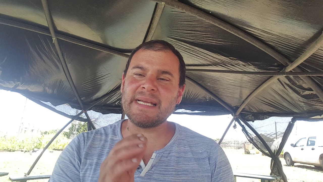 חקלאות אורגנית - שיעור ראשון