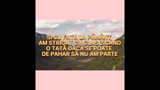 negativ ton fata ,în grădina cu măslin