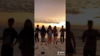 134 Daniellecohn Official Tiktok 2020 04 17 10 51 13