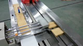 MOTECH PACK FLOW WRAPPER MACHINE WITH MATERIAL COLLECTION