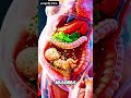 What Happens When Pregnant Women Eat Spinach? Powerful Benefits Revealed #pregnancy #shorts #fyp