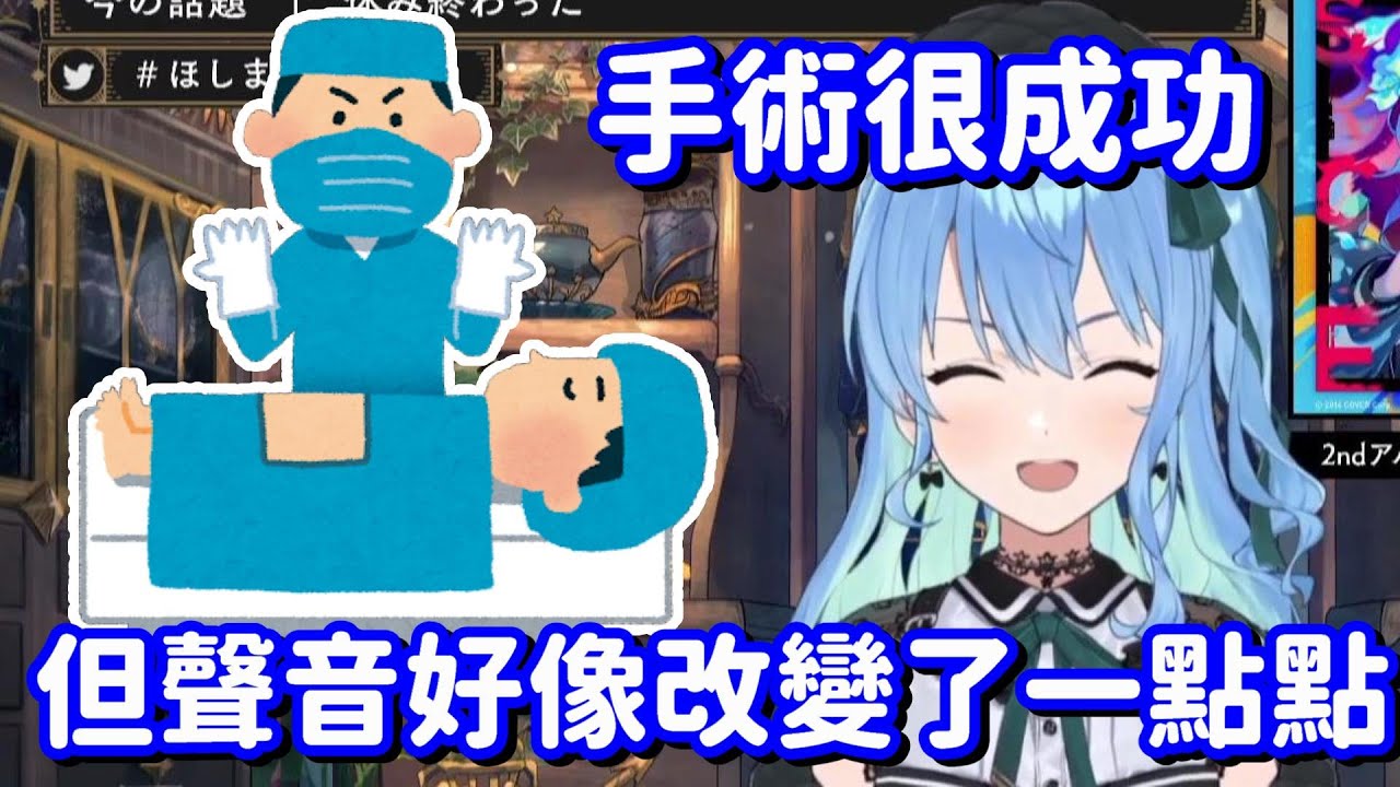 喉嚨手術後 聲音變了嗎? 彗醬個人來說 其實是改變了一點點的...?【Hololive中文精華】【星街彗星】