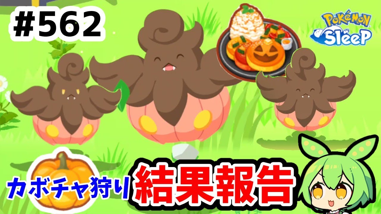 【睡眠リサーチ】