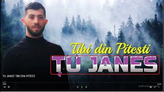 TU JANES  📀  TIBI DIN PITESTI