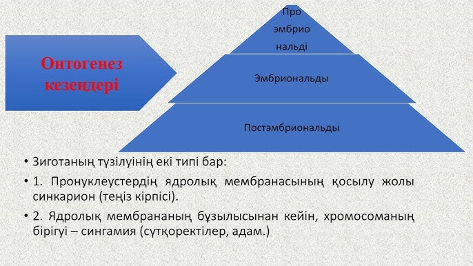 Интернеттегі танымал порно фильм