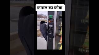 very intelligent crow fast mind crow #funny #shorts #viral