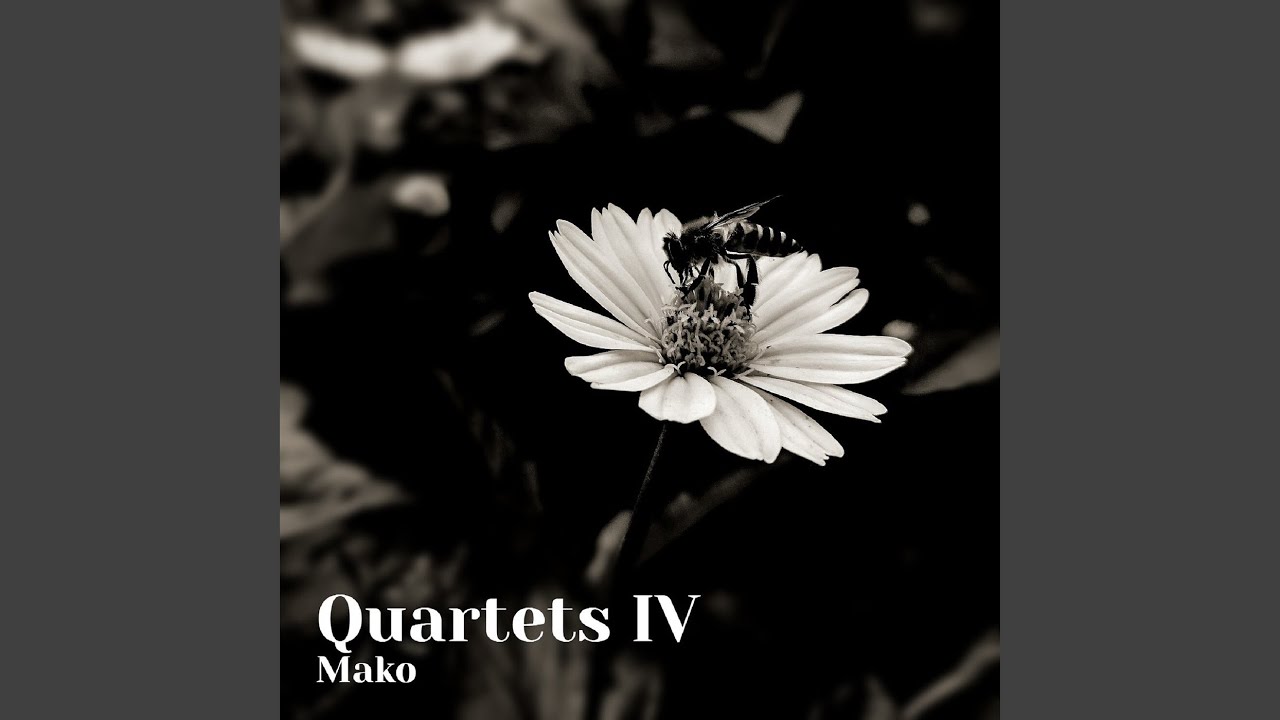 Watch Camel Dance on YouTube Watch Camel Dance on YouTube