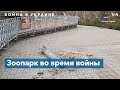 «Мы под обстрелами...» Николаевский зоопарк во время войны