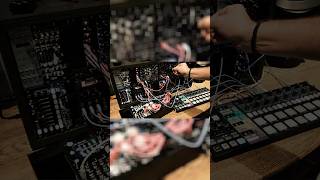 Modular Bops | Erica Synths VCO2 | Plaits | Ripples | Squarp Rample | Arturia Beatstep Pro #shorts