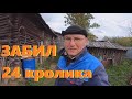 Кроликов стало меньше ,за то теперь мы с мясом .Жизнь в деревне.