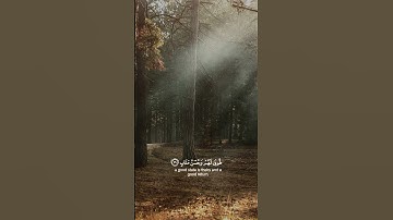 تلاوة جميلة و مؤثرة لآيات من القرآن الكريم #تلاوة_خاشعة #اذكار #راحة_نفسية #لايك#قران_كريم #اكسبلور