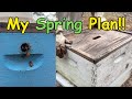 Beekeeping  my spring beekeeping plan