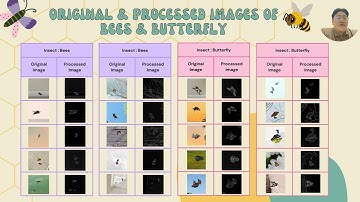 INSECT CLASSIFICATION USING SOBEL DETECTION AND CNN
