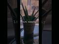 Just thing #foryou #trending #life #shorts #subscribe