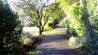 olivia and family 157.avi