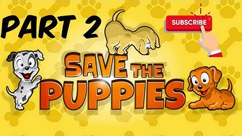 Save The Puppy Level 13 to 20